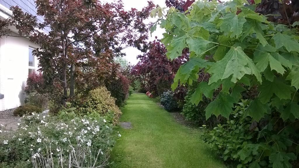 Dunbur Lodge Wicklow Buitenkant foto